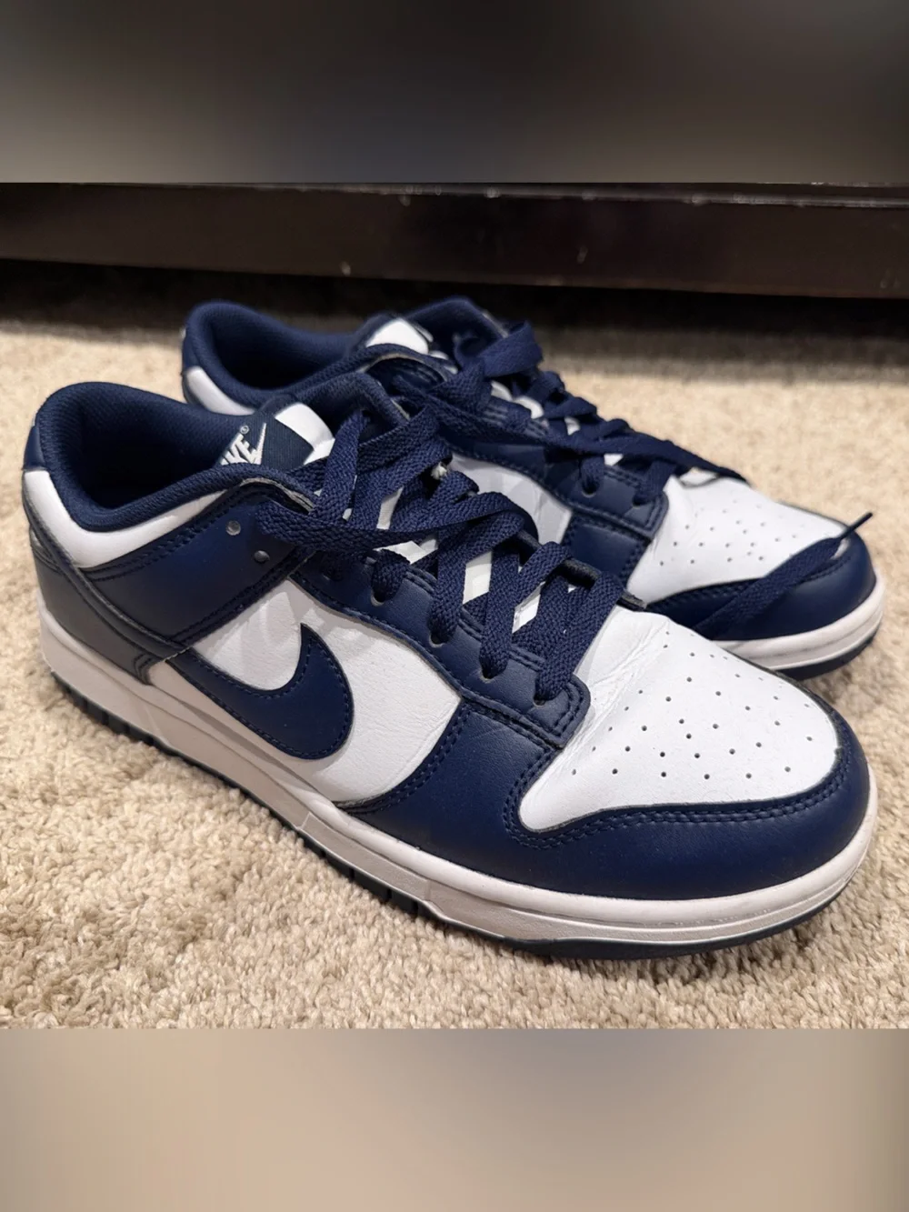 Nike Dunks - Navy and White Low-Top Sneakers